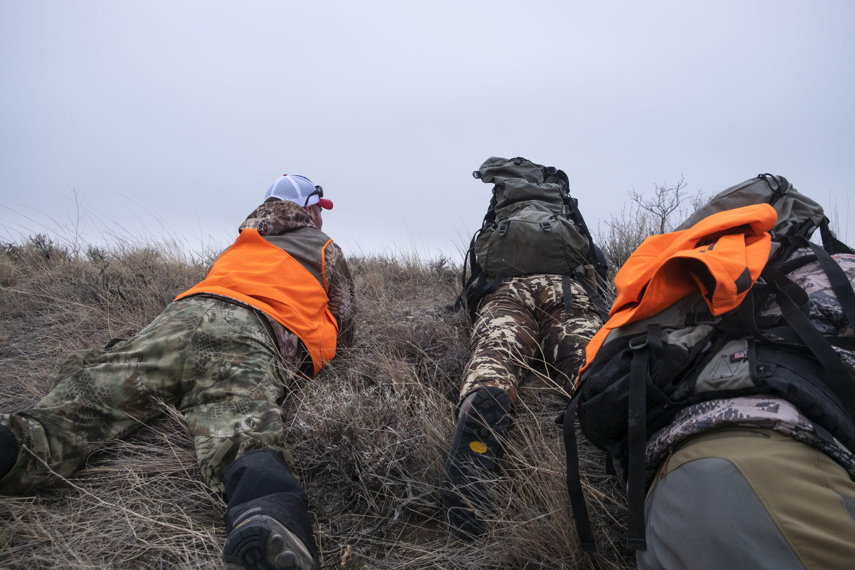 APR Bison Harvest